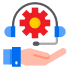 30 Days Technical Support